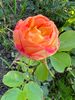 EDAD73EC-8A90-4BCE-A8D4-E73BD9159F89