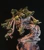 Euphorbia decaryi