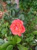 IMG20220623102722