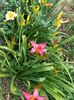 IMG20220625201137