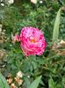 IMG20220626115127