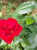 IMG20220626114913
