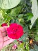 IMG20220626114905