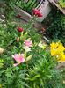 IMG20220626114536