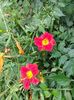 IMG20220626114456
