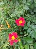 IMG20220626114454