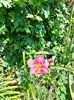 IMG20220627115152