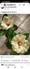 Screenshot_2022-06-23-16-30-16-829_com.facebook.katana