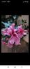 Screenshot_2022-06-19-18-23-33-249_com.miui.gallery