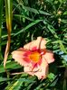 IMG20220628102223