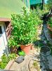 IMG20220629101434
