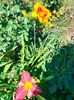 IMG20220629101130