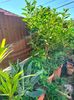 IMG20220629100350