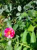 IMG20220701101601