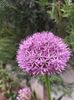 IMG-20220701-WA0210