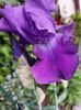 IMG-20220701-WA0204