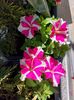 IMG-20220701-WA0192