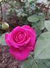 IMG-20220701-WA0185