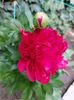 IMG-20220701-WA0184