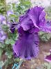 IMG-20220701-WA0180