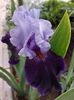 IMG-20220701-WA0171