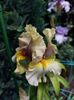 IMG-20220701-WA0169