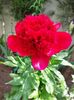 IMG-20220701-WA0166
