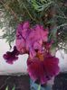 IMG-20220701-WA0165