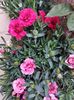 IMG-20220701-WA0162