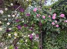 IMG-20220701-WA0160