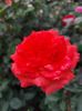 IMG-20220701-WA0007
