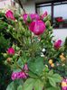 IMG-20220701-WA0026
