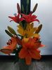 IMG-20220701-WA0037