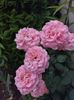 IMG-20220701-WA0039