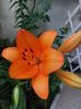 IMG-20220701-WA0040