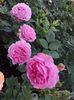 IMG-20220701-WA0042