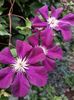 IMG-20220701-WA0045