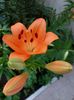 IMG-20220701-WA0048