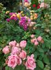 IMG-20220701-WA0044