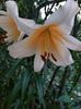 IMG-20220701-WA0046