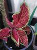 IMG-20220701-WA0058