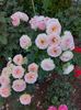IMG-20220701-WA0065