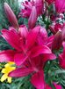 IMG-20220701-WA0074