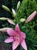IMG-20220701-WA0085