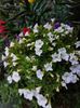 IMG-20220701-WA0075
