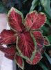 IMG-20220701-WA0076