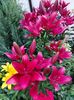 IMG-20220701-WA0095