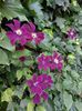 IMG-20220701-WA0093