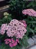 IMG-20220701-WA0088