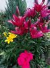 IMG-20220701-WA0094
